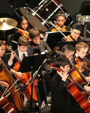 Lord Of The Rings: The Fellowship of the Ring In Concert