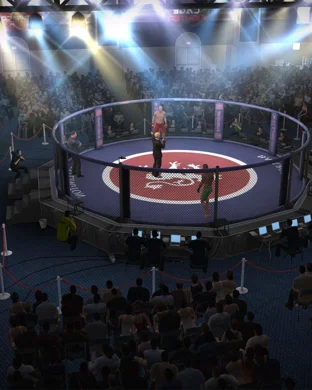 WFC 191: Live Championship Boxing