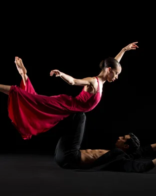 Bodies & Voices