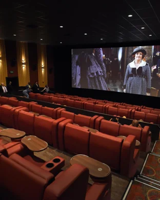 Can Can's Carnival of Curiosities